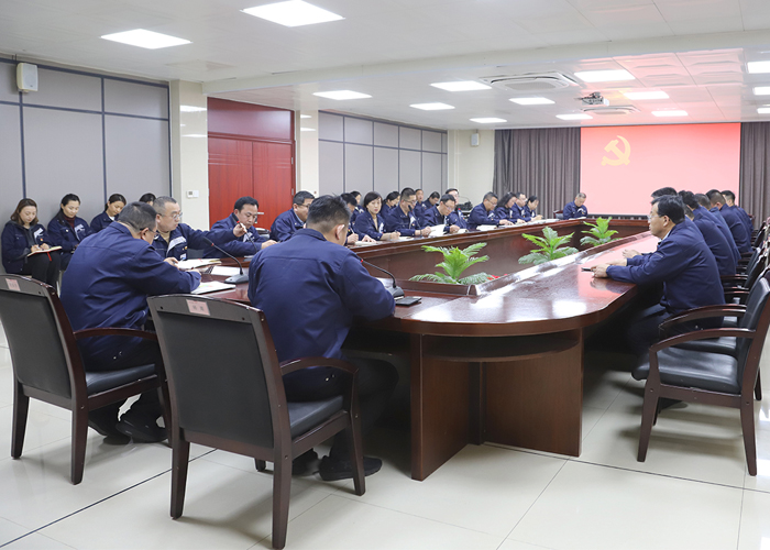 亚太集团党委组织召开3月份主题党日会议