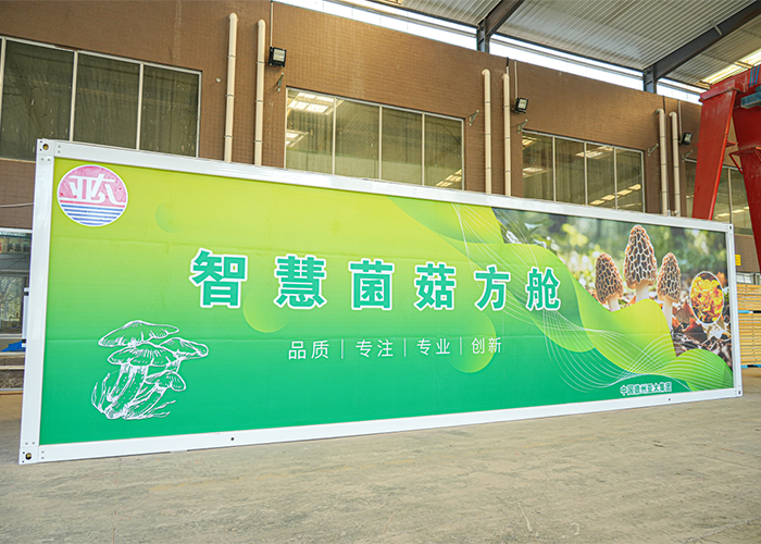 德州市农业科学研究院与亚太集团合作培育的菌菇首产成功