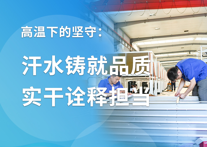 高温下的坚守：汗水铸就品质 实干诠释担当