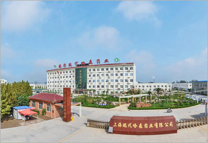 上海现代哈森药业有限公司