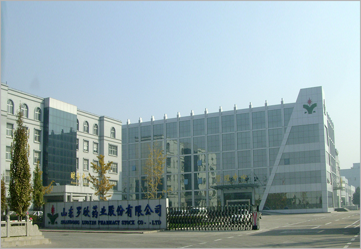 山东罗欣药业集团股份有限公司